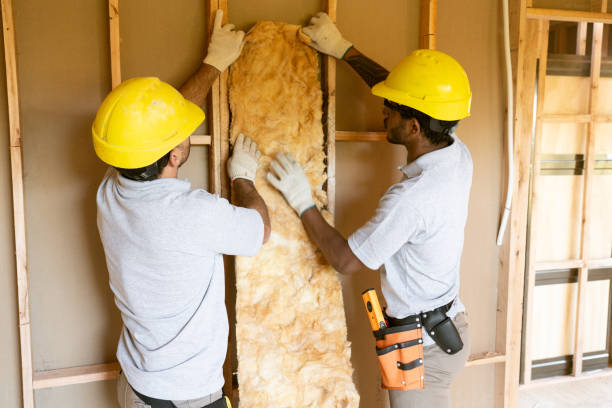 Best Insulation Inspection Services  in Ingram, TX